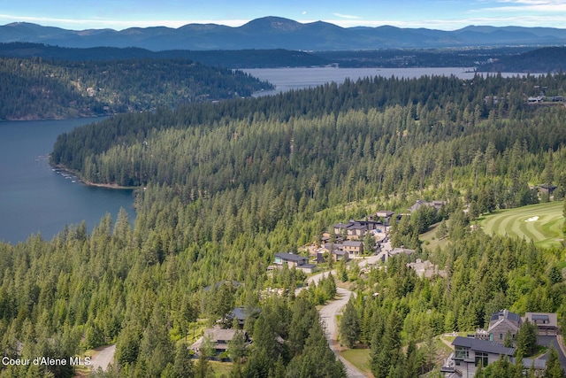 7783 S Buckrail Rd, Harrison, ID 83833 - bird's eye view of a forest and a water and mountain view