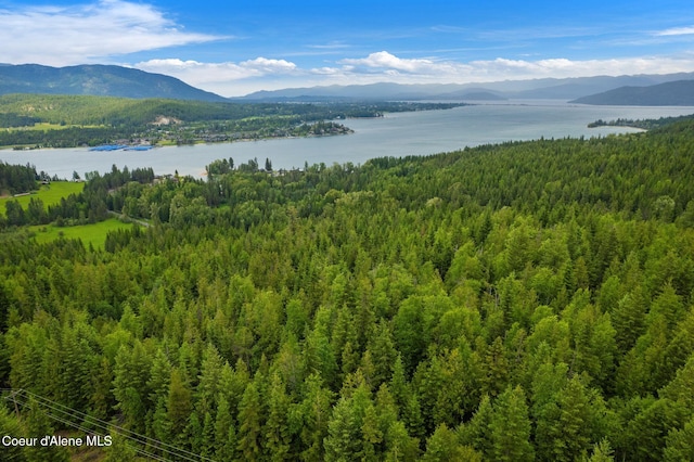 2672 Merril Martin Rd, Sagle, ID 83860 - mountain view with a heavily wooded area and a nearby body of water