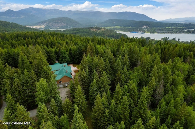2672 Merril Martin Rd, Sagle, ID 83860 - view of mountain background with a forest and a large body of water