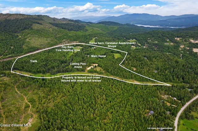 2672 Merril Martin Rd, Sagle, ID 83860 - aerial view of property's location featuring a mountain backdrop and property parcel outlined