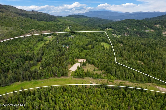 2672 Merril Martin Rd, Sagle, ID 83860 - aerial view of property's location with a mountain backdrop and property parcel outlined