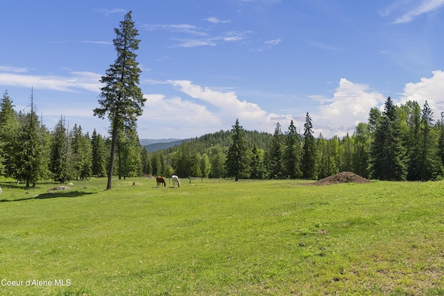 2672 Merril Martin Rd, Sagle, ID 83860 - view of green lawn with a view of countryside, a wooded view, and a mountain view