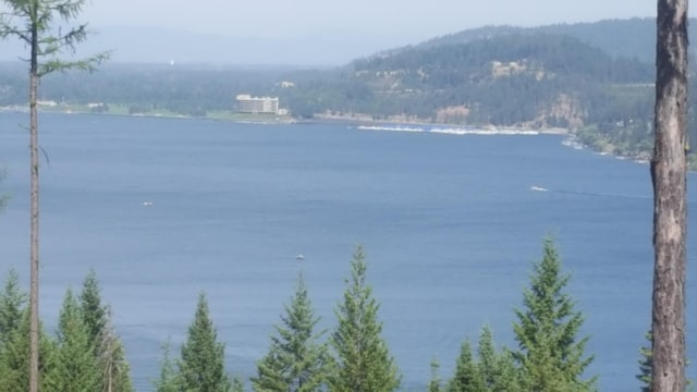 LOT13 Lisa Rd, Harrison, ID 83833