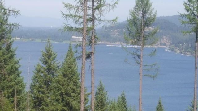 LOT13 Lisa Rd, Harrison, ID 83833