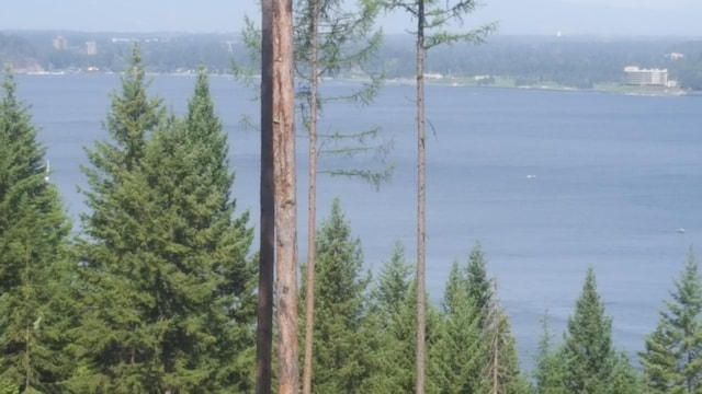 LOT13 Lisa Rd, Harrison, ID 83833