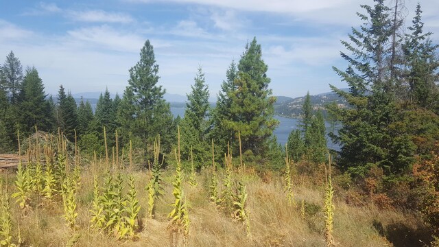 LOT13 Lisa Rd, Harrison, ID 83833