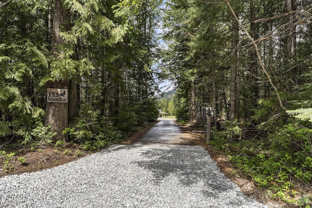 193 Grouse Rd, Sandpoint, ID 83864 - view of street