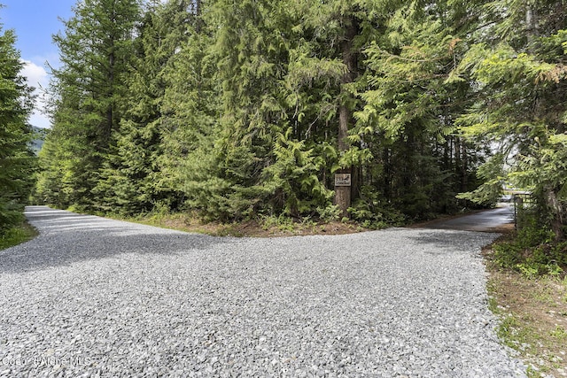 193 Grouse Rd, Sandpoint, ID 83864 - view of dirt / gravel road