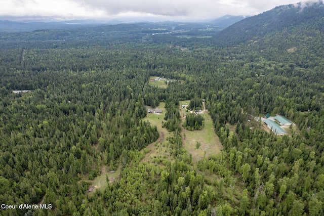 193 Grouse Rd, Sandpoint, ID 83864 - view of property location featuring a heavily wooded area and a mountainous background