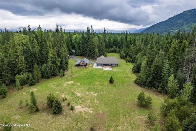 193 Grouse Rd, Sandpoint, ID 83864 - view of subject property featuring mountains and a heavily wooded area