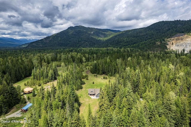 193 Grouse Rd, Sandpoint, ID 83864 - mountain view featuring a heavily wooded area