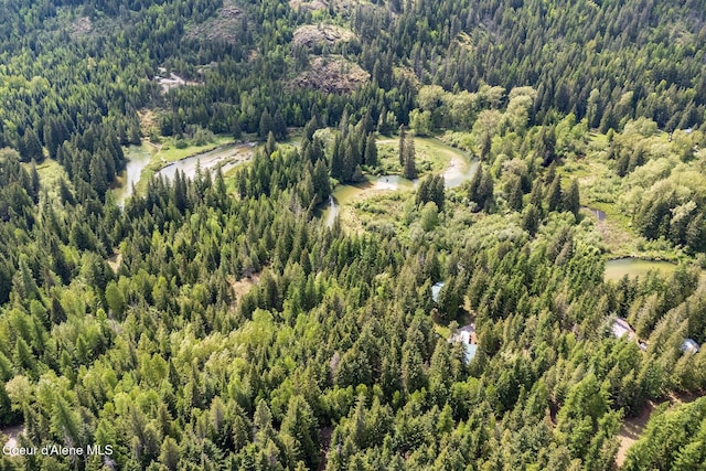 193 Grouse Rd, Sandpoint, ID 83864 - bird's eye view of a forest