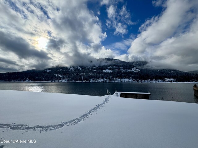 1770 Garfield Bay Rd, Sagle, ID 83860 - photo 99