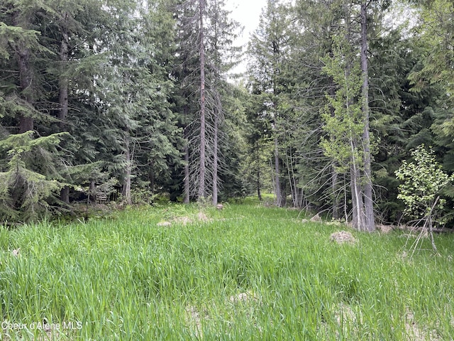 NNA High Meadow Dr, Priest River, ID 83856