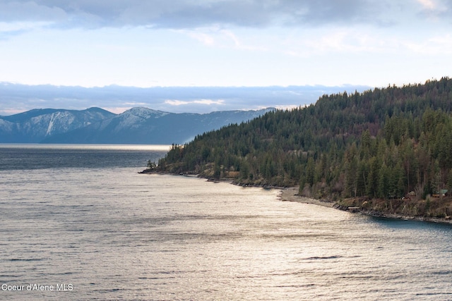 1808 Garfield Bay Rd, Sagle, ID 83860 - water view with a forest and a mountain backdrop