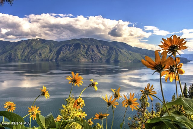 1808 Garfield Bay Rd, Sagle, ID 83860 - view of mountain background with a nearby body of water