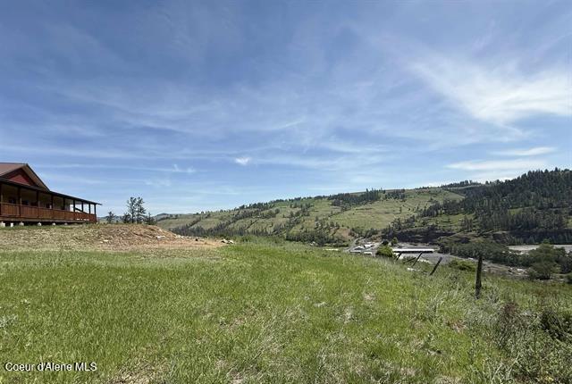 240 Canyon Dr, Kooskia, ID 83539 - view of yard