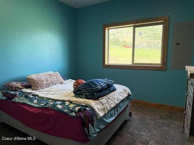 240 Canyon Dr, Kooskia, ID 83539 - bedroom featuring electric panel, carpet, and baseboards
