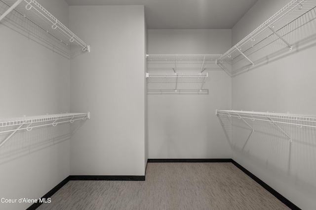 6568 N Downing Ln, Coeur Dalene, ID 83815 - walk in closet featuring carpet