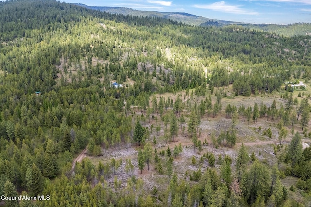 NKA Coyote Pass Rd, Blanchard, ID 83804
