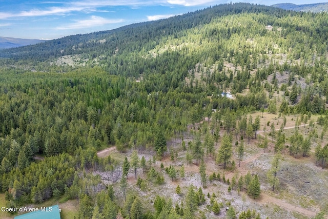 NKA Coyote Pass Rd, Blanchard, ID 83804
