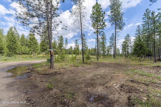 NKA Coyote Pass Rd, Blanchard, ID 83804