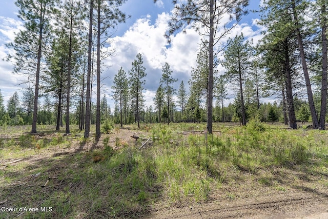 NKA Coyote Pass Rd, Blanchard, ID 83804