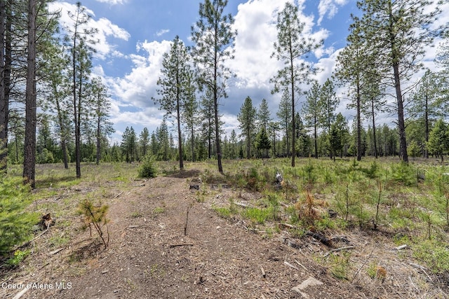 NKA Coyote Pass Rd, Blanchard, ID 83804