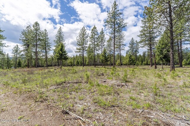 NKA Coyote Pass Rd, Blanchard, ID 83804