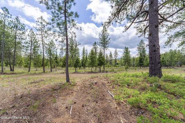 NKA Coyote Pass Rd, Blanchard, ID 83804