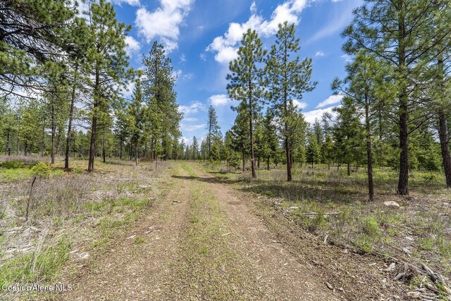 NKA Coyote Pass Rd, Blanchard, ID 83804