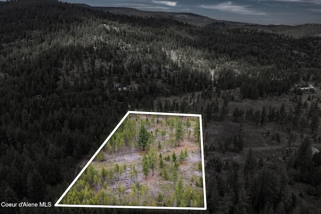 NKA Coyote Pass Rd, Blanchard, ID 83804