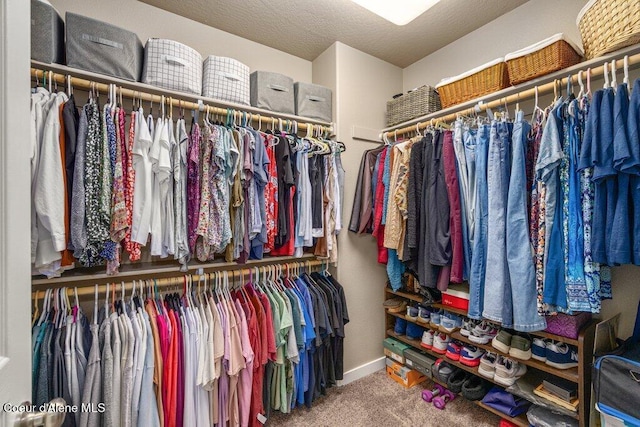 4615 N Connery Loop, Post Falls, ID 83854 - walk in closet with carpet floors