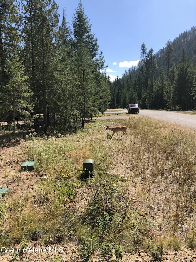 L25 Tracy Ln, Priest Lake, ID 83856