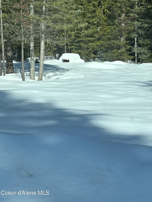 L25 Tracy Ln, Priest Lake, ID 83856