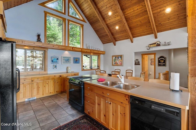 7373 E Hayden Haven Rd, Hayden, ID 83835 - kitchen featuring wood ceiling with exposed beams, black appliances, high vaulted ceiling, a sink, and tile patterned flooring