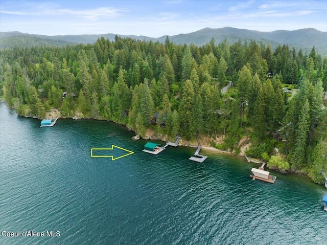 7373 E Hayden Haven Rd, Hayden, ID 83835 - aerial view of a water and mountain view and a forest
