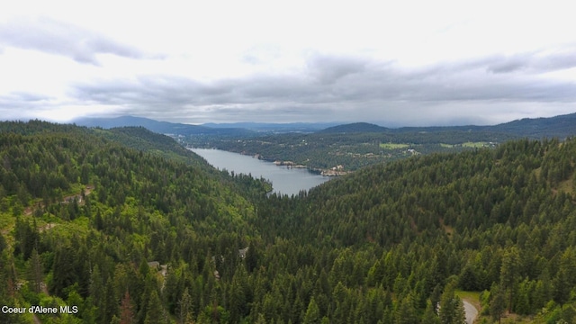 995 S Saddleback Dr, Coeur Dalene, ID 83814 - view of mountain backdrop featuring a forest and a large body of water