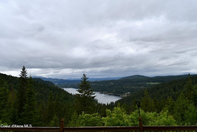 995 S Saddleback Dr, Coeur Dalene, ID 83814 - view of mountain background with a heavily wooded area and a large body of water