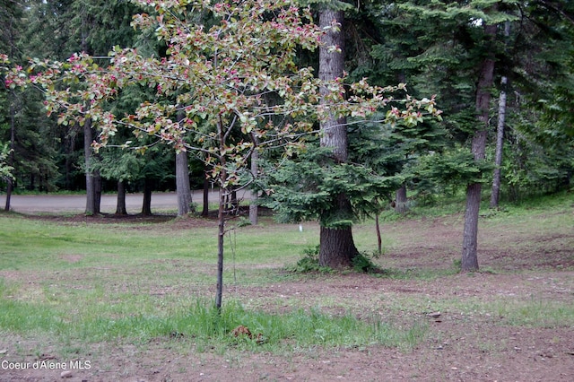 995 S Saddleback Dr, Coeur Dalene, ID 83814 - view of yard