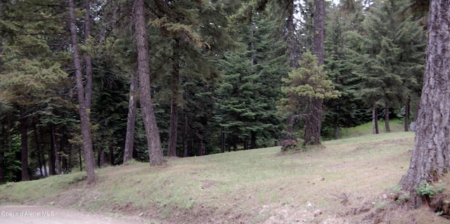 995 S Saddleback Dr, Coeur Dalene, ID 83814 - view of tree filled area