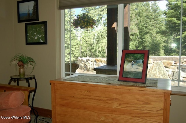 995 S Saddleback Dr, Coeur Dalene, ID 83814 - detailed view