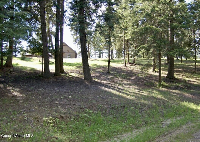 995 S Saddleback Dr, Coeur Dalene, ID 83814 - view of yard