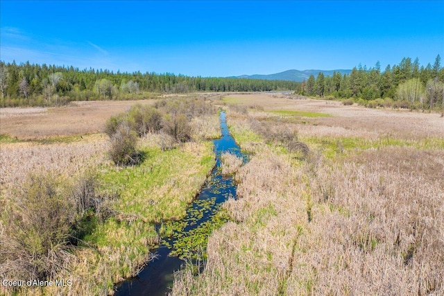 4610 Kelso Lake Rd, Athol, ID 83801