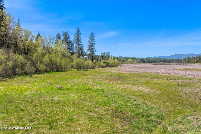 4610 Kelso Lake Rd, Athol, ID 83801