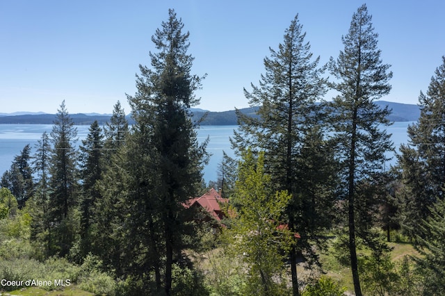NNA Eagen Mountain Rd, Hope, ID 83836