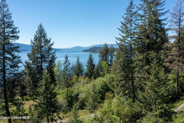 NNA Eagen Mountain Rd, Hope, ID 83836
