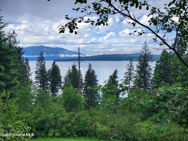 NNA Eagen Mountain Rd, Hope, ID 83836