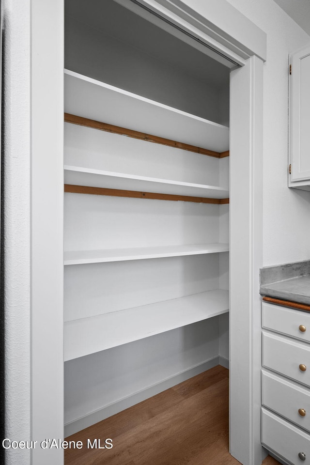1125 N Shannon Ln, Post Falls, ID 83854 - view of pantry