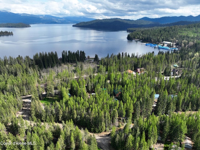 1 Kalispell Creek Ests, Priest Lake, ID 83856